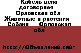 Кабель цена договорная  - Орловская обл. Животные и растения » Собаки   . Орловская обл.